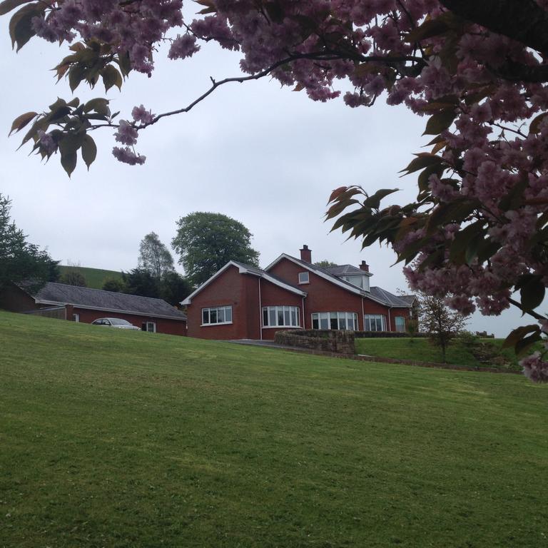 White Hill Country House B&B Castleblayney Extérieur photo